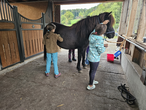 Spiel und Spass im Pferdestall