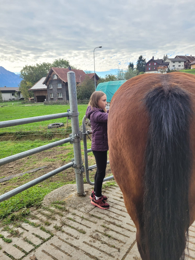 Reitspass