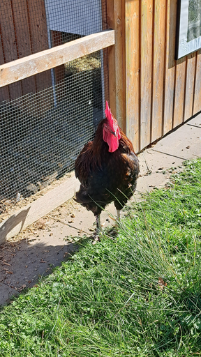 Spannender Erlebnisnachmittag im Lukashaus