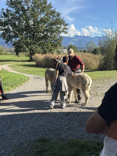 Alpaka Trekking