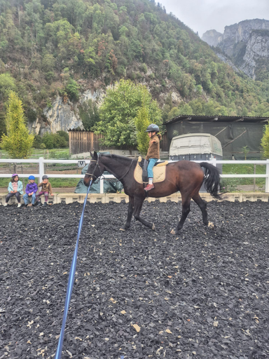 Spiel und Spass im Pferdestall