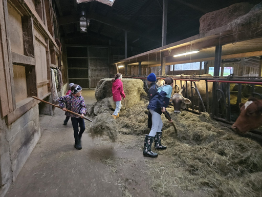 Die Hühner ins Bett bringen